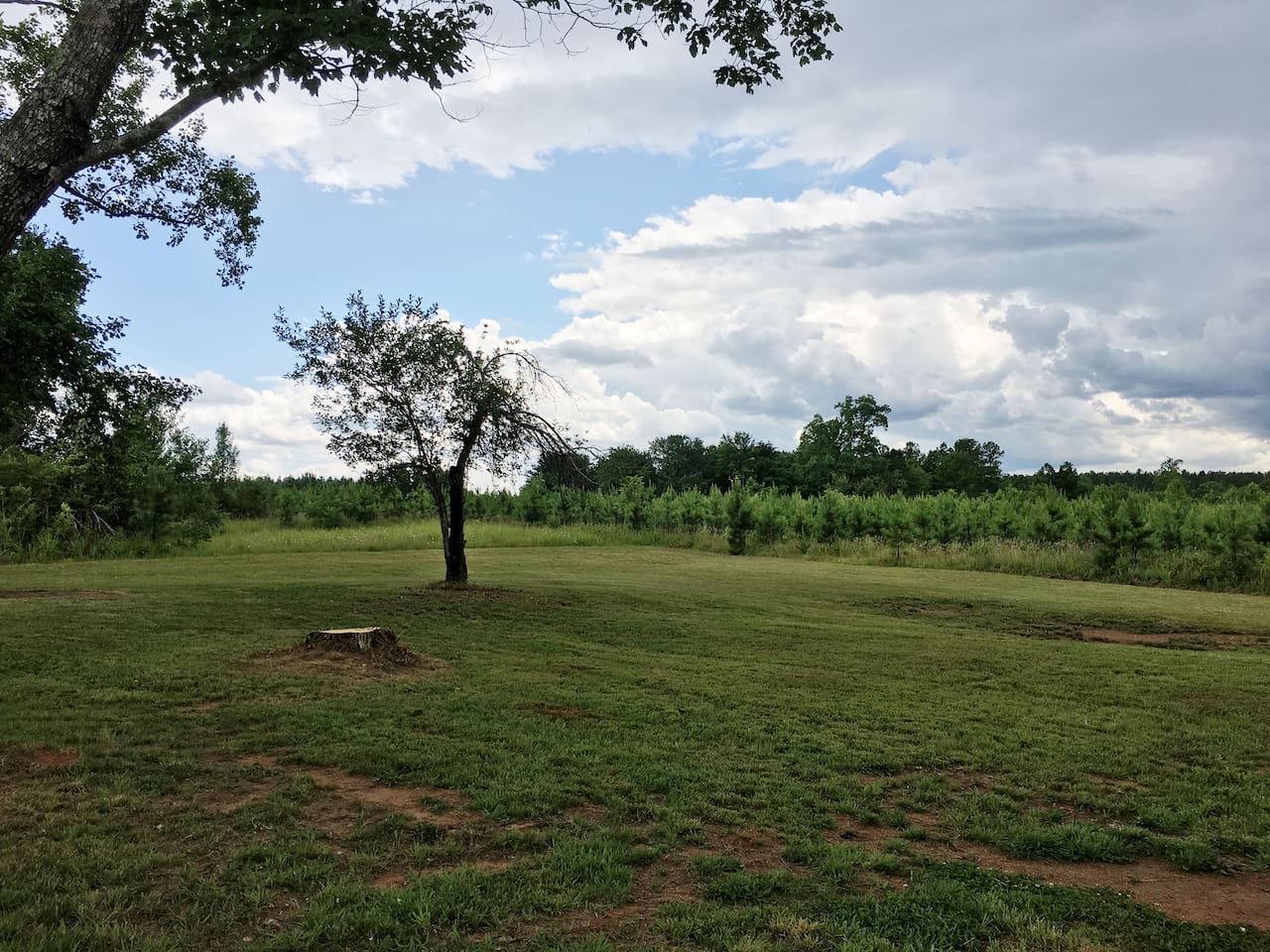 Rear View-Drama before the storm!
