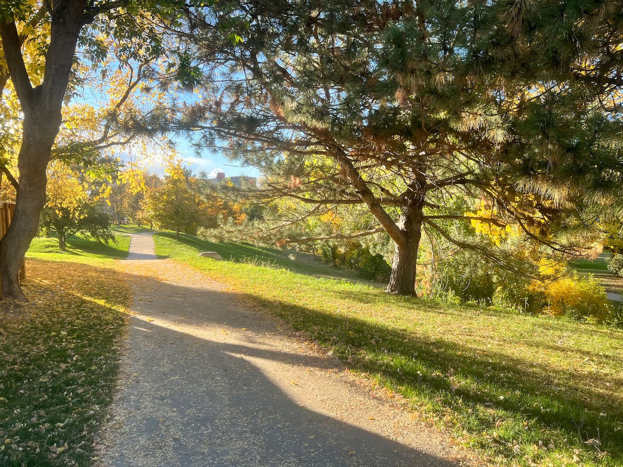 Joseph Martinez Park. 2 Blocks North. Our parks are all connected by walking paths that lead directly to downtown.  Great for walks with pets and lots of loops for exercise.