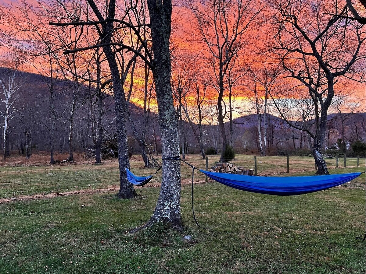 Winter sunset