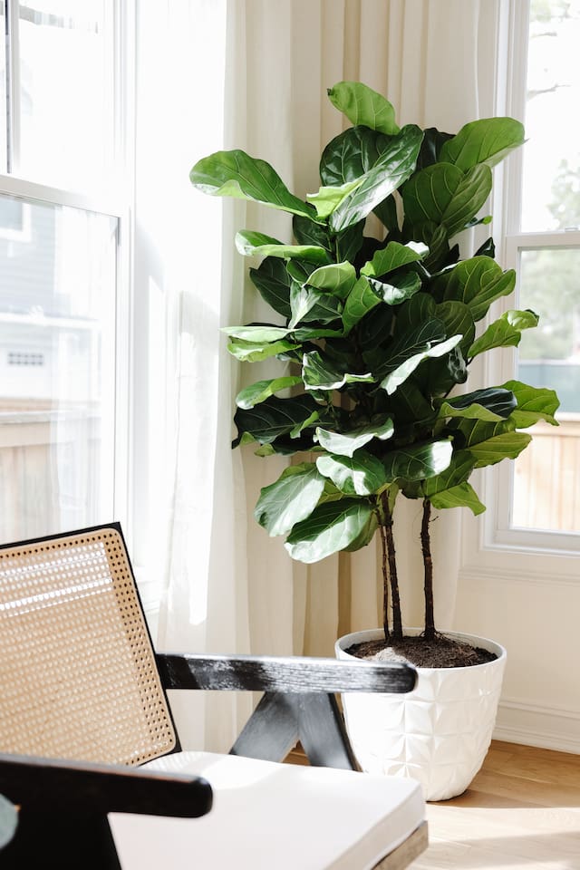 The light-filled living room features an oversized Floyd couch, a 70" smart TV and an open floor plan that flows seamlessly into the kitchen and dining areas. Great spot for hanging with a large group.