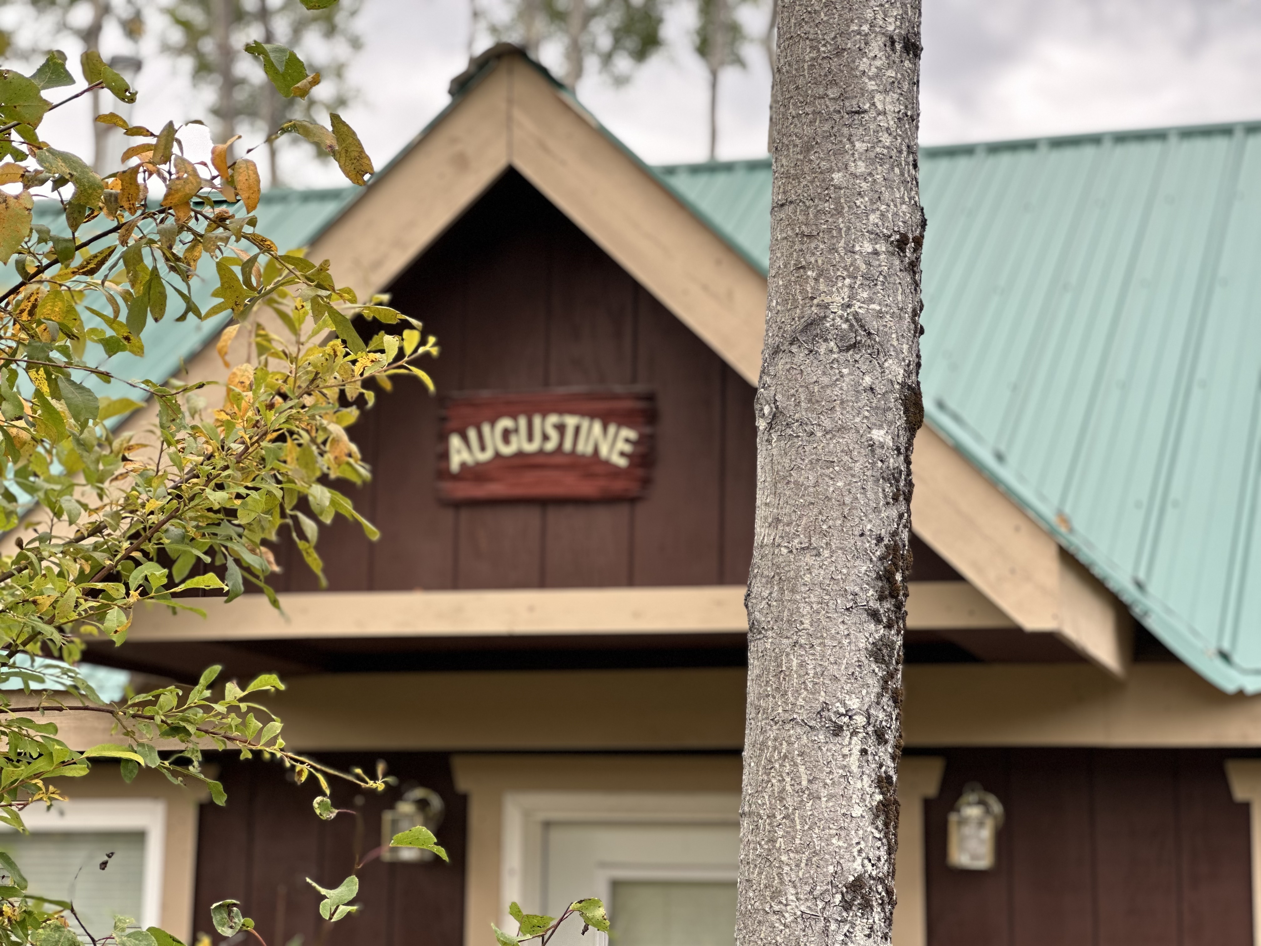 Kasilof King Cabins - Augustine Cabin — Kasilof, AK — vacation rental