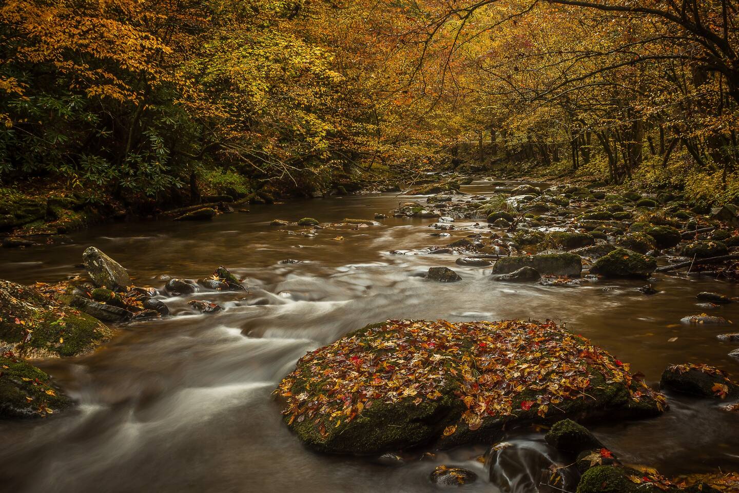 Breathtaking scenery in the Smokies!