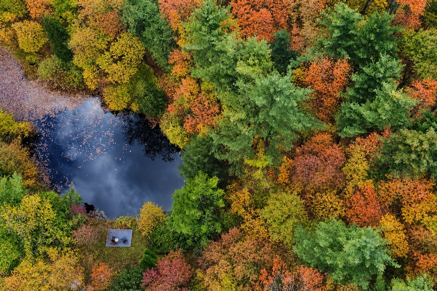 Pond in the back of the property with a deck overlooking it.