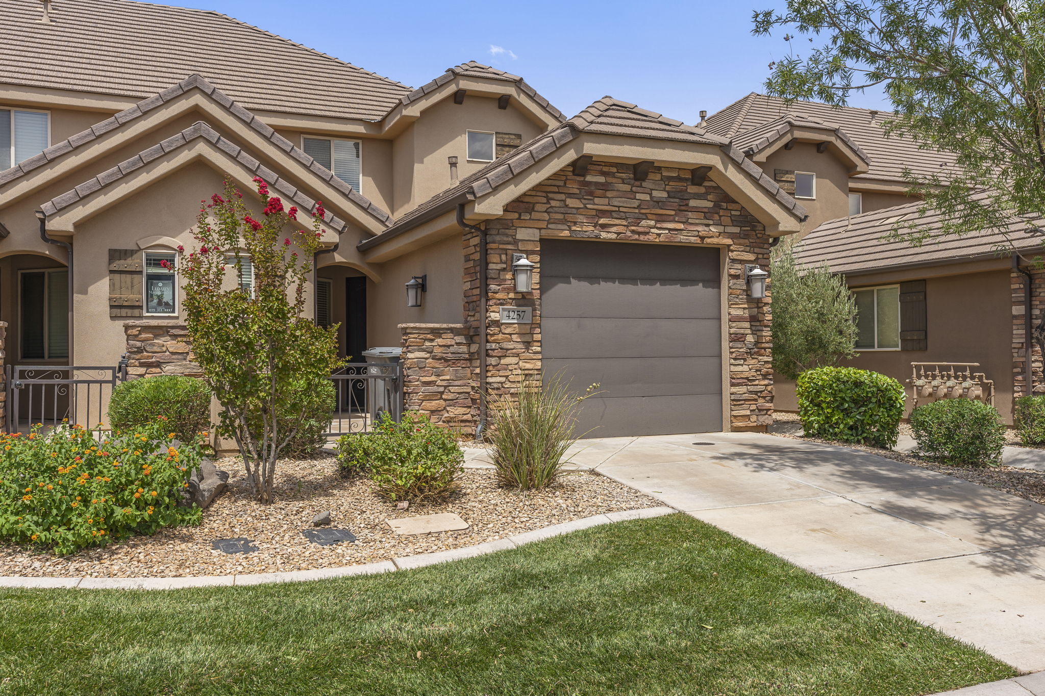 Cactus Rose at Coral Ridge 2