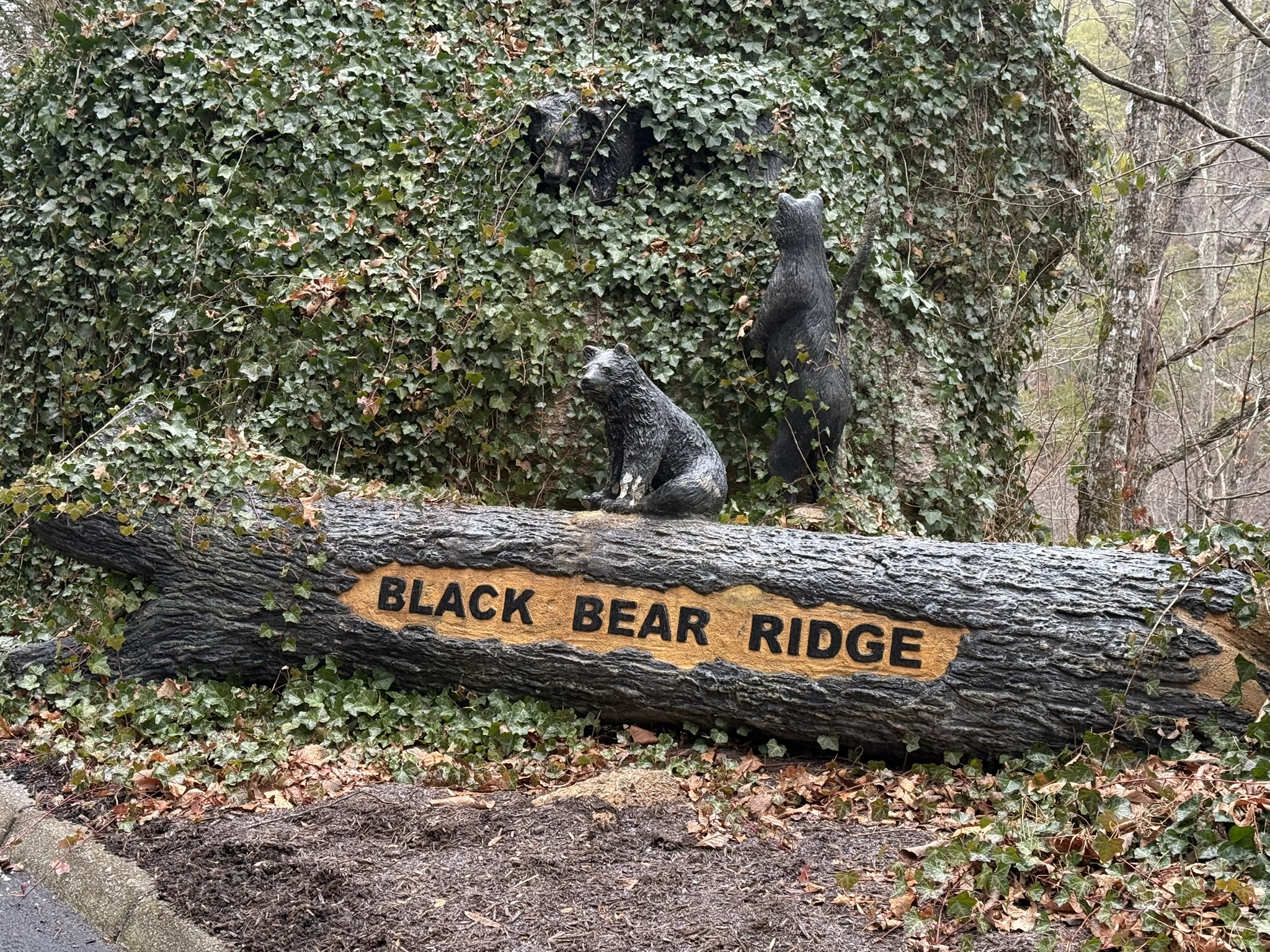 Perfectly located less than 5 miles from the Pigeon Forge strip, with adventure waiting around every corner—it's easy to see why Black Bear Resort is such a sought-after spot in the Smokies.