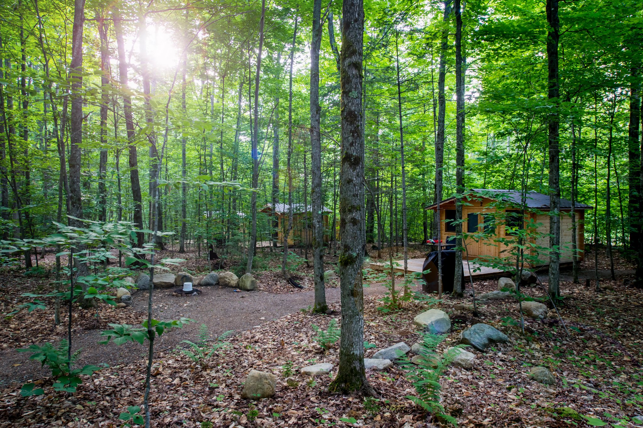 Cabins in the woods