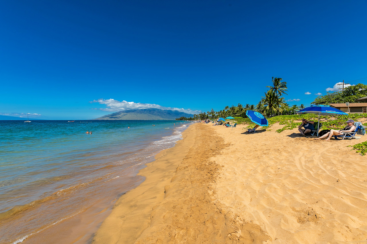 Snorkel, Swim, Suntan...You Choose