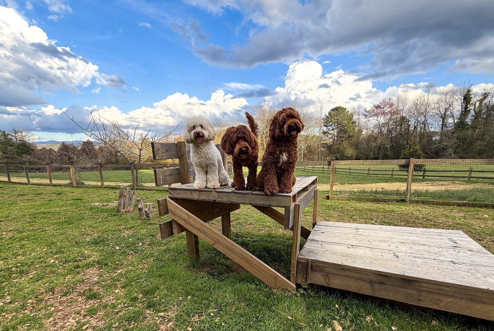 We are handsome and beautiful and we know it!