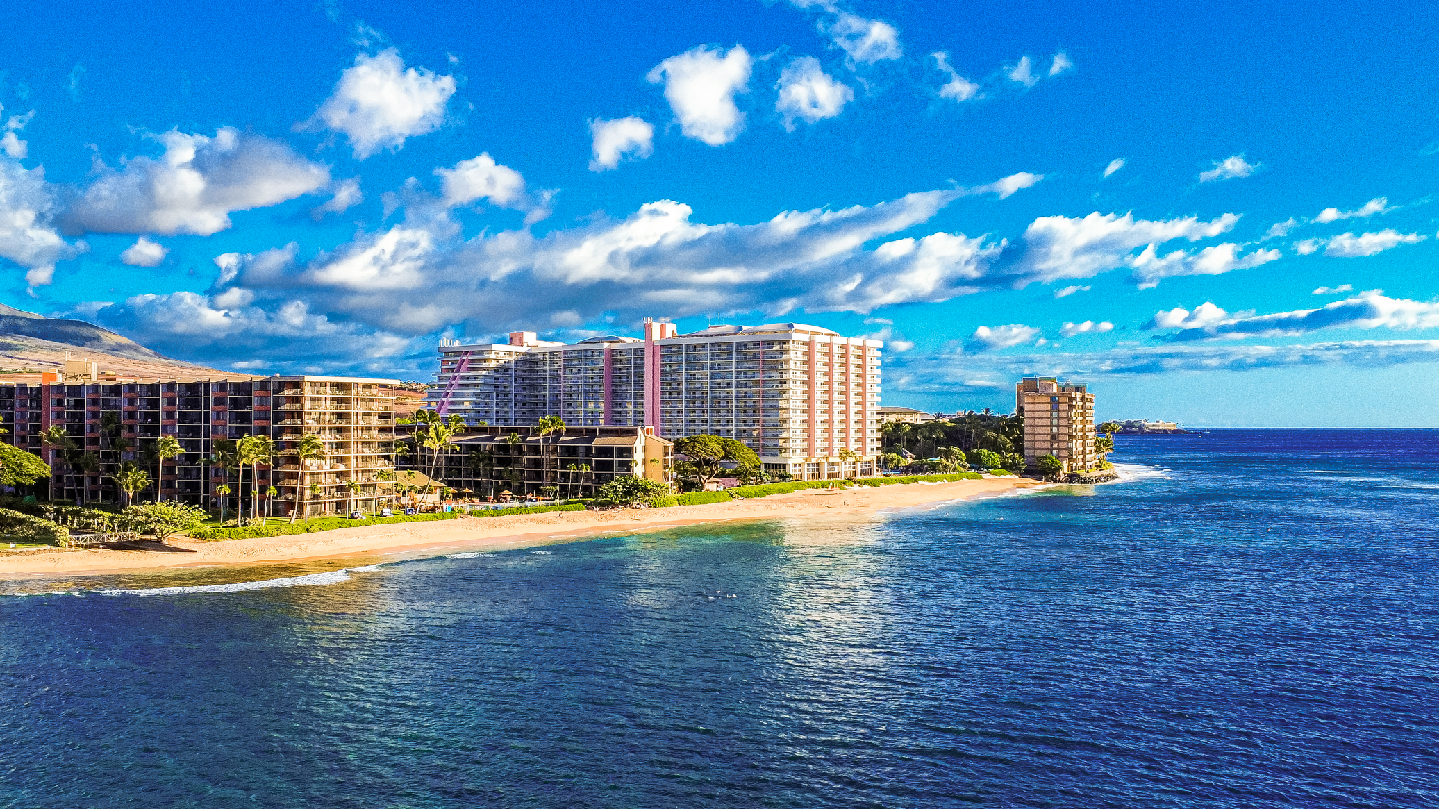 Surf, Sand, and Resort Skyline