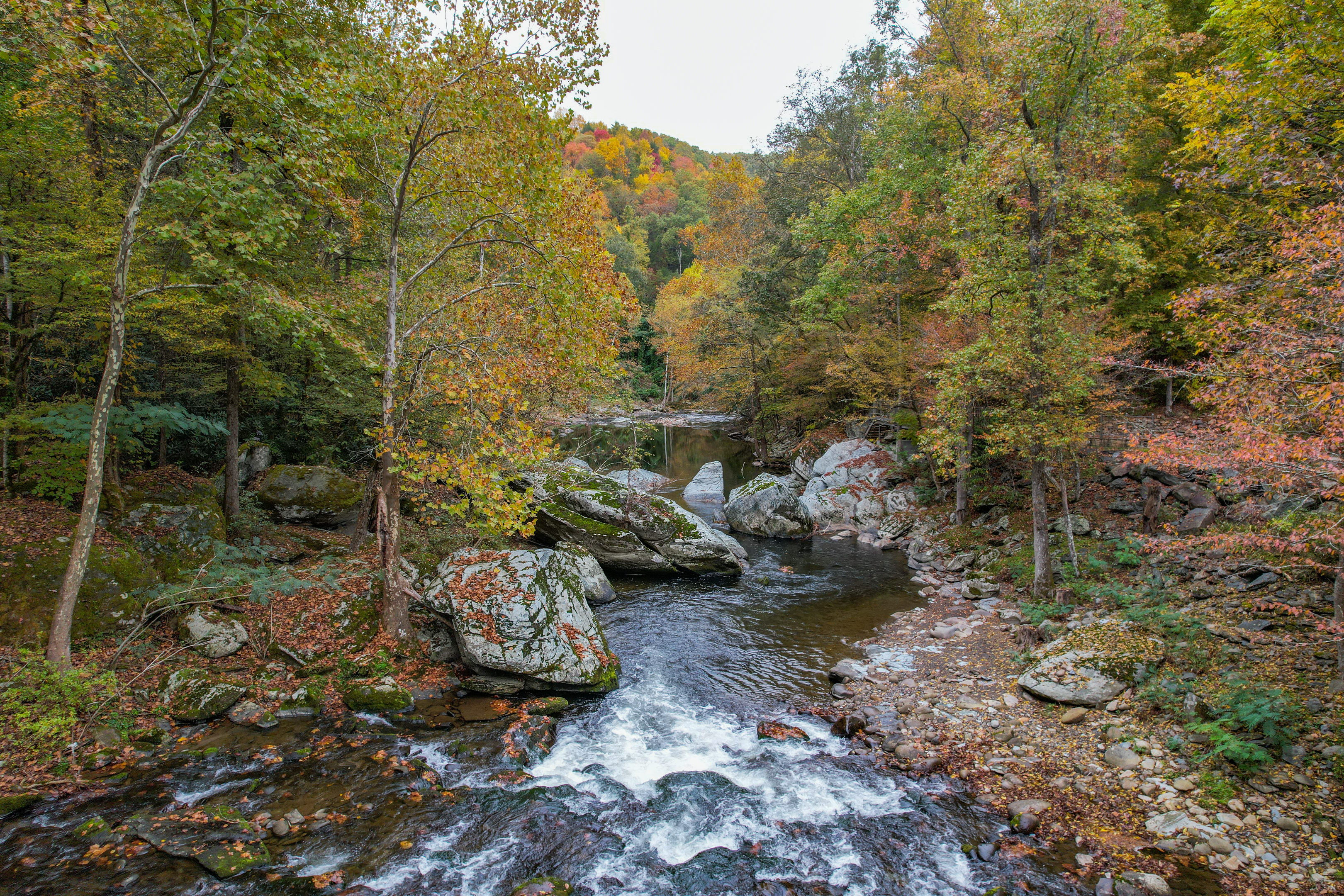 Seriously, it's like having the National Park is in your backyard. The Greenbrier entrance is 7 minutes way. Best kept secret in the entire National Park, by the way!