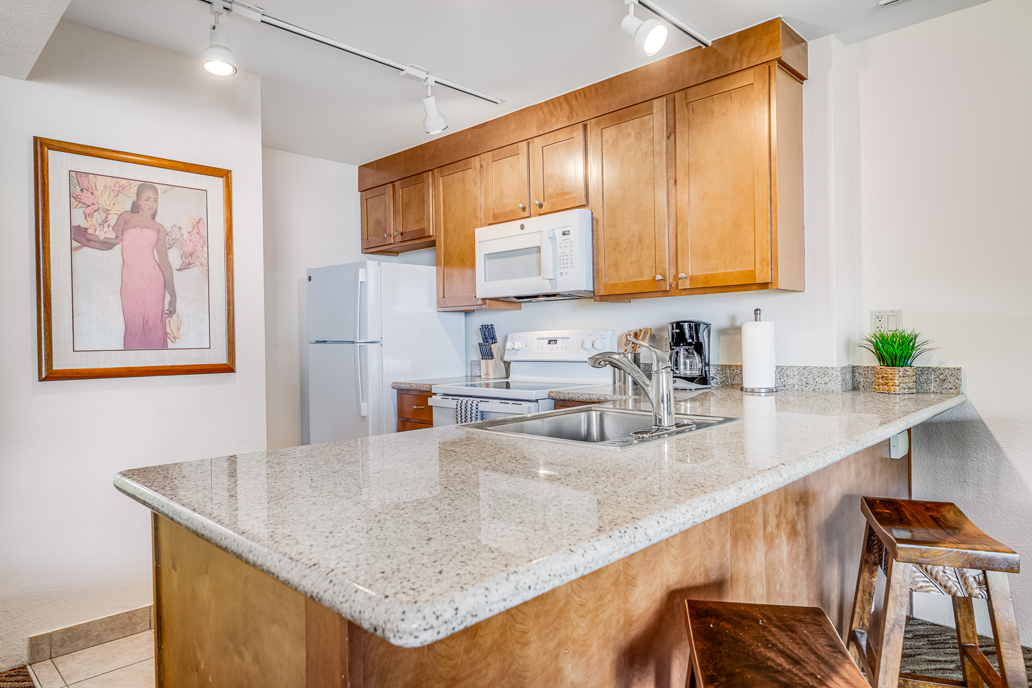 Lots of counter space for cooking and bar stools to pull up for a snack!