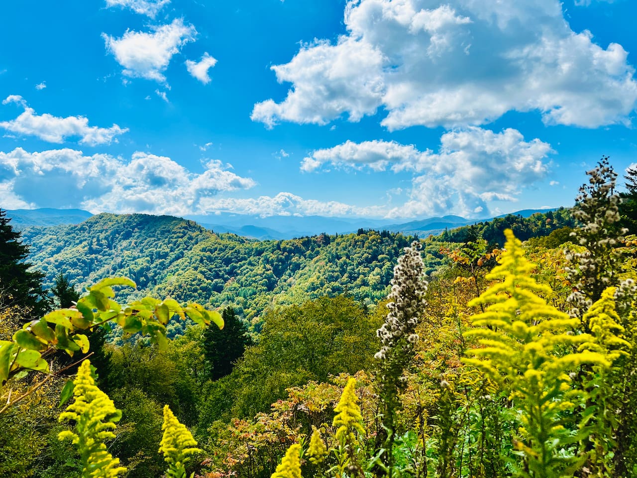 The colors shift throughout the year in the Smoky Mountains, making visiting at different times of the year a new experience each time.