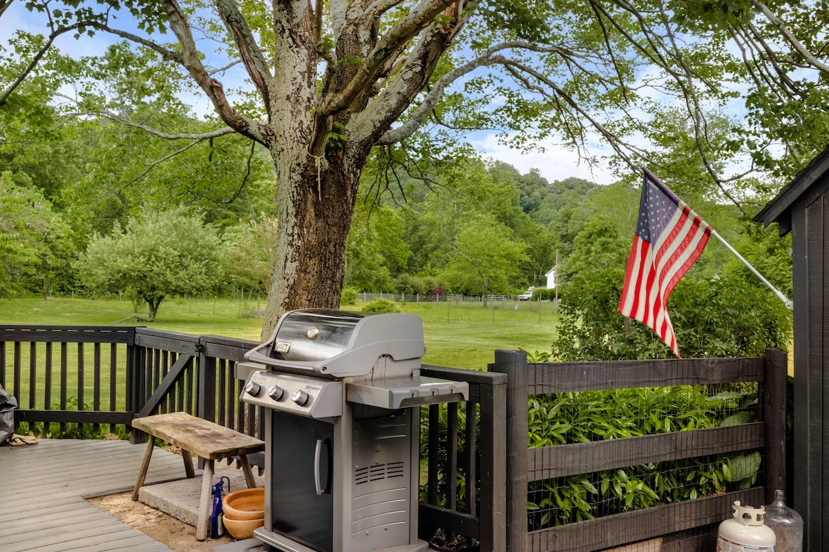 Cook out time? Brand new weber for your enjoyment!