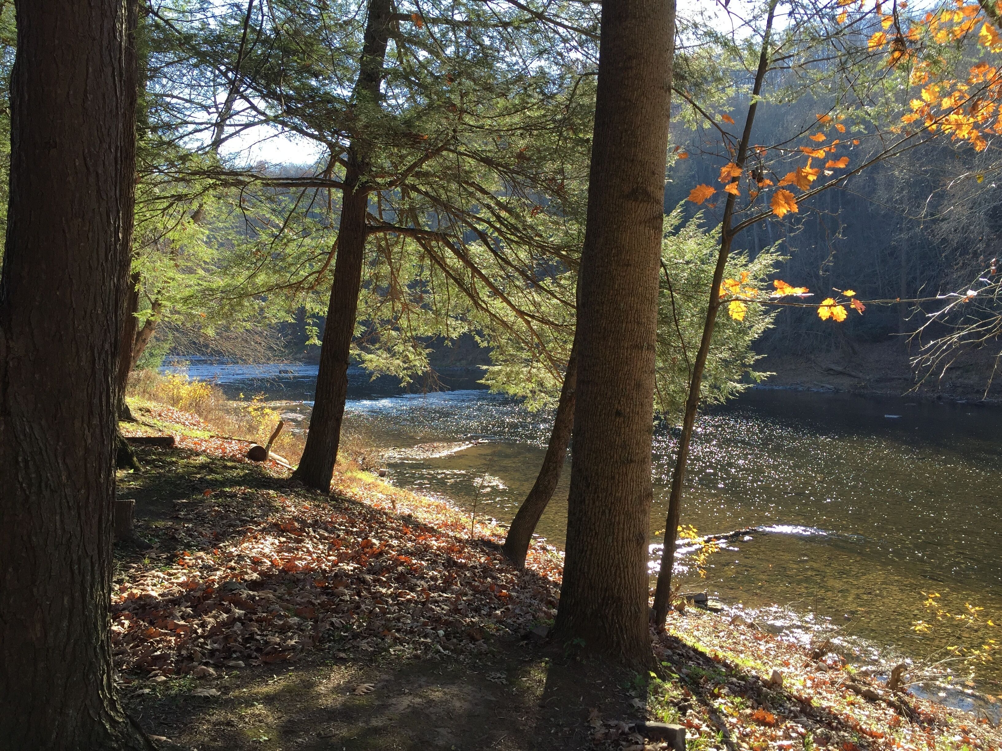 the river in early autumn