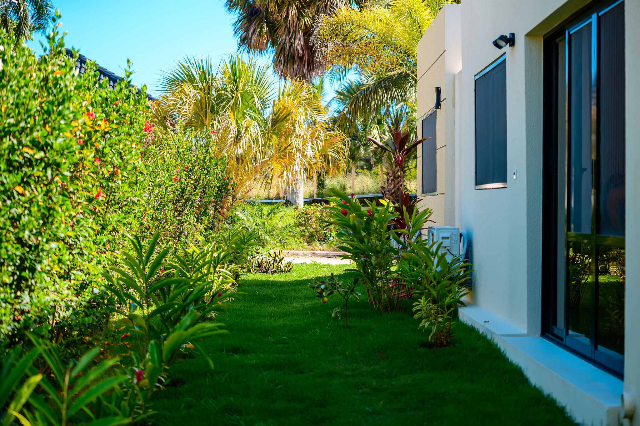 Lawn