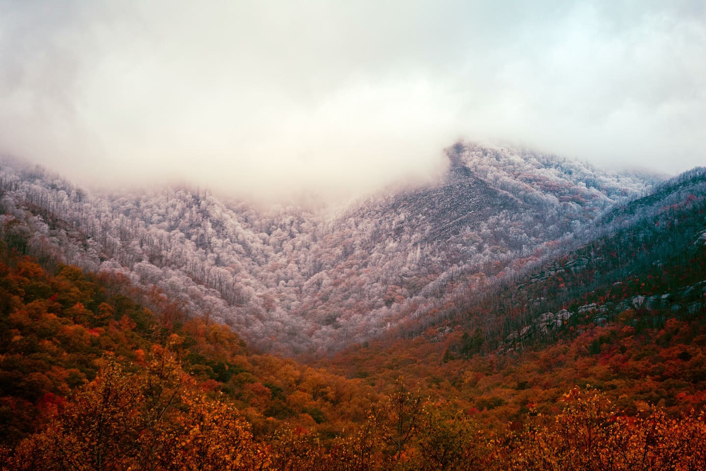 THIS is why they call it the Great Smoky Mountains.