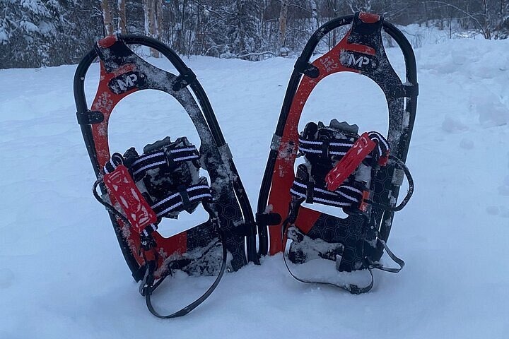 Snowshoeing