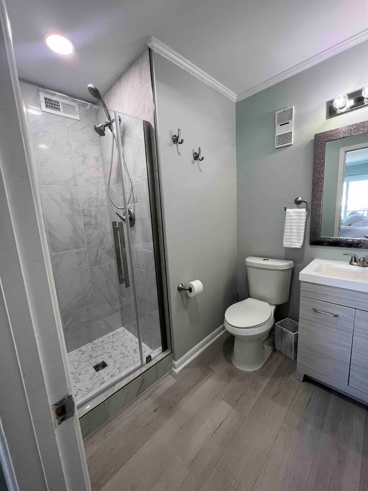 Master bathroom view of renovated shower