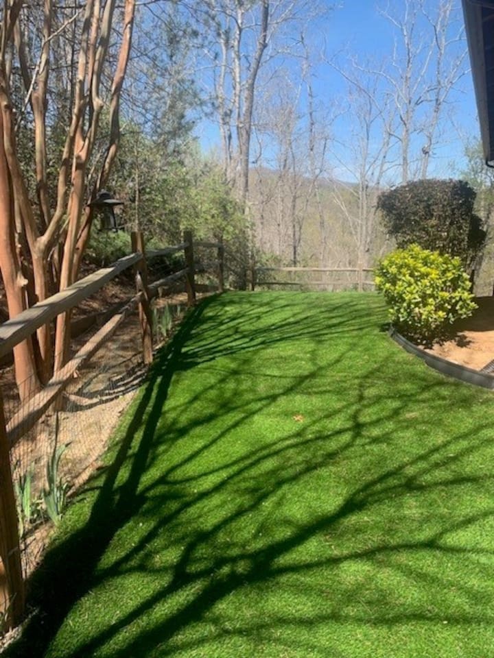Backyard