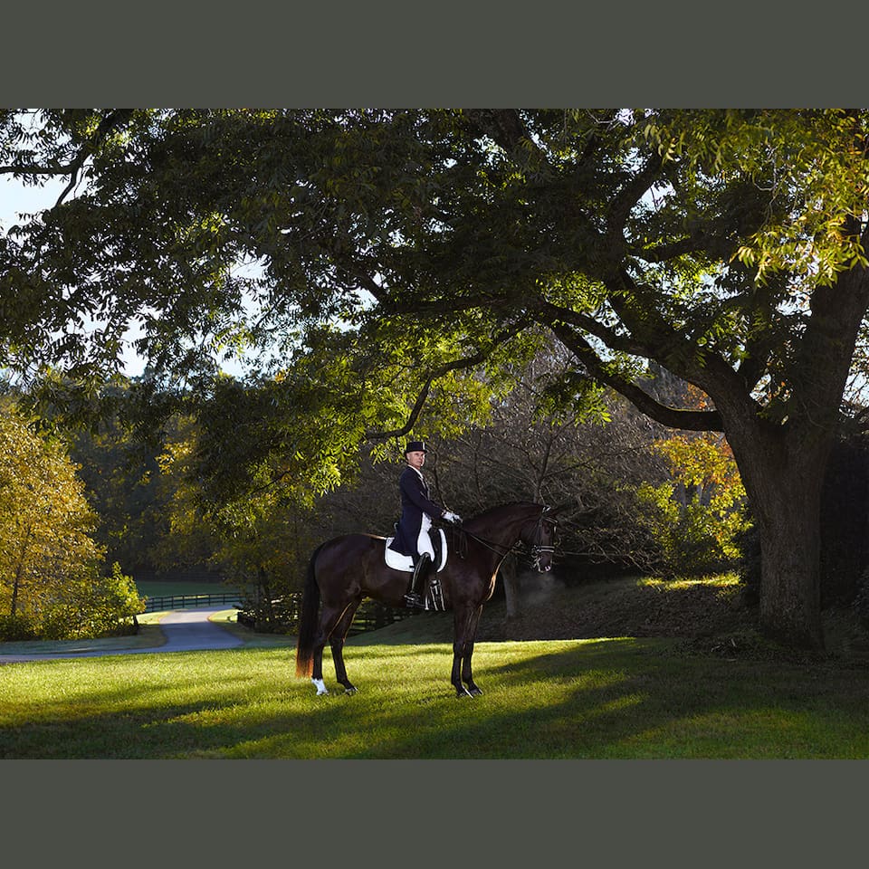 World Class dressage training just minutes away.