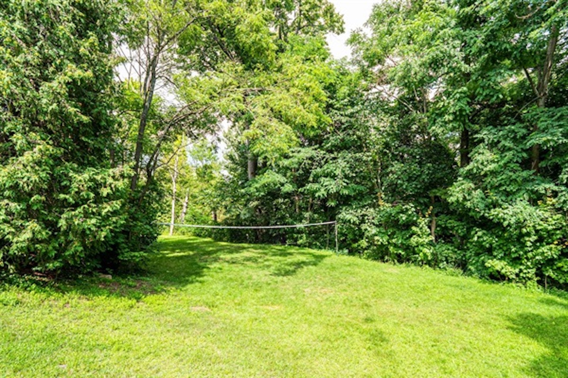 Spacious grassy yard surrounded by trees