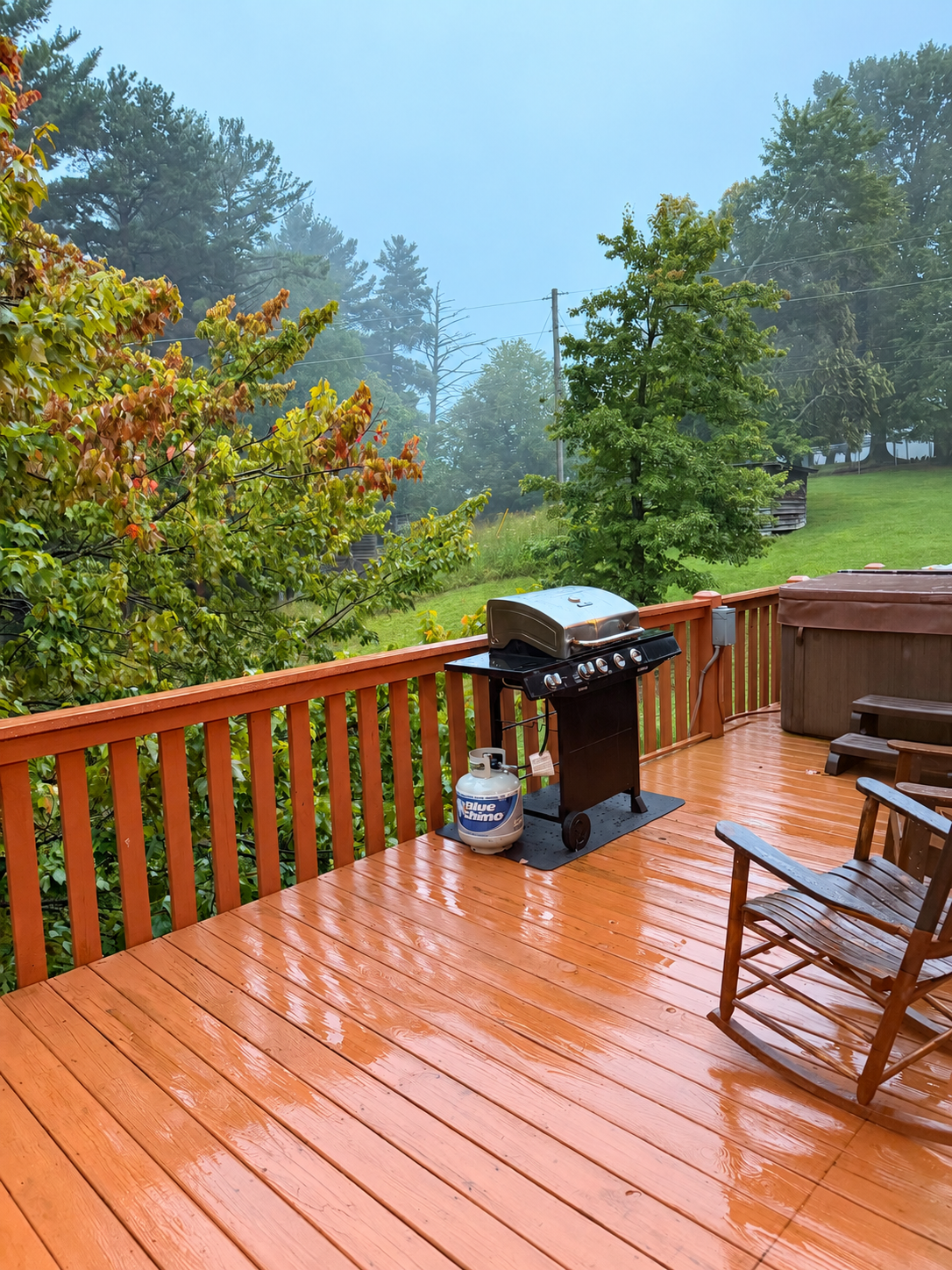 bbq