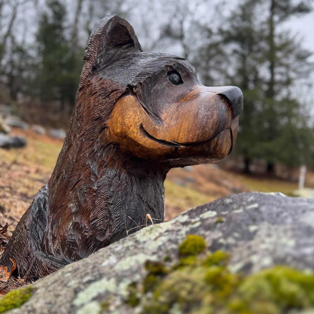 Hand-carved wooden bear sculpture on mossy rock along the trail &mdash; Sunset Falls Berkshires