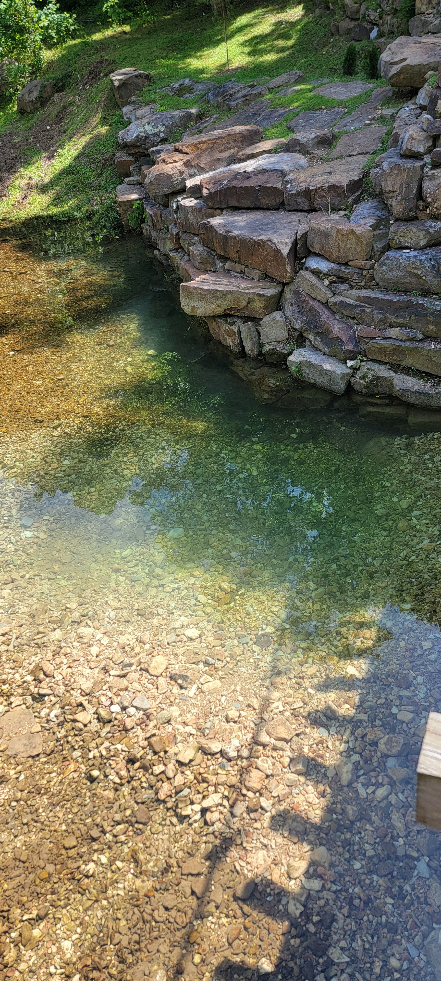 Swimming Brush Creek