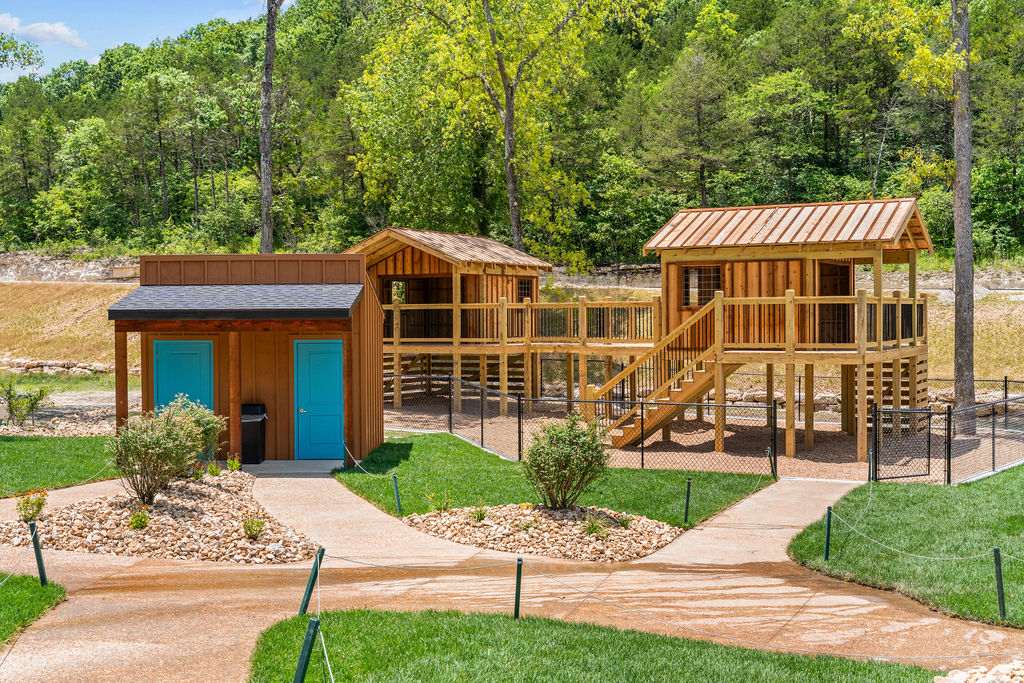 A large playground for the kiddos and kids at heart