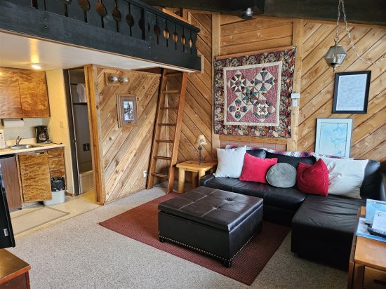 Livingroom area, kitchen, loft, bathroom overview.