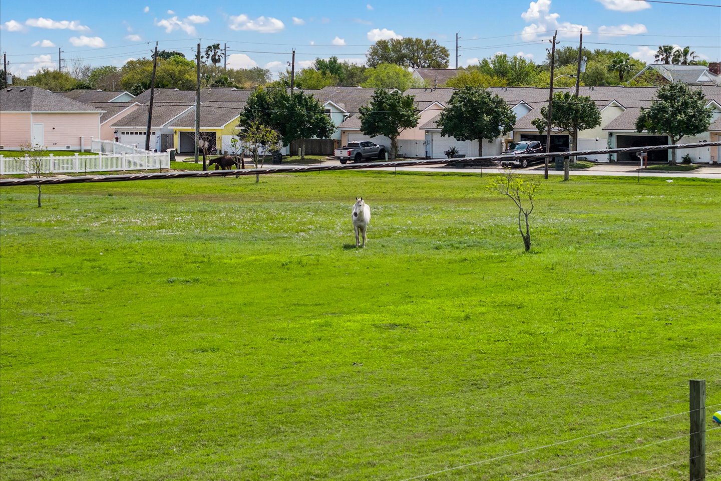 Beautiful view of horses right from the living room and 2nd floor patio.