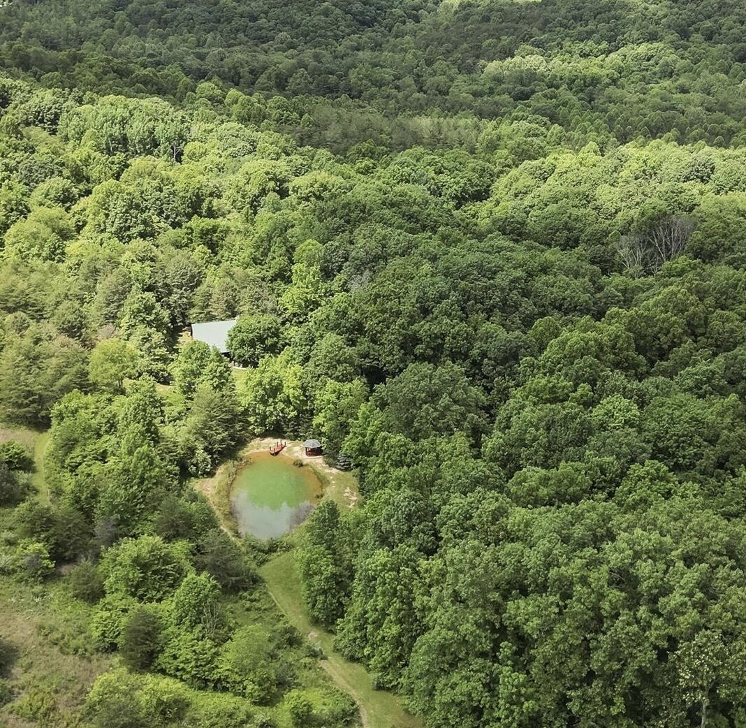 Plenty of Peace and Quiet awaits you at Breath of Heaven Log Cabin