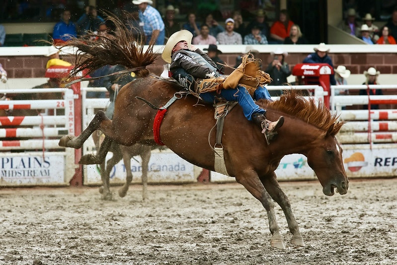 Summer nights at Snowmass Rodeo are pure mountain magic - boots, beer, and big skies. It happens just minutes from the condo. 