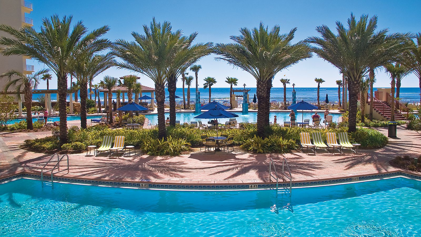 Tropical pool area