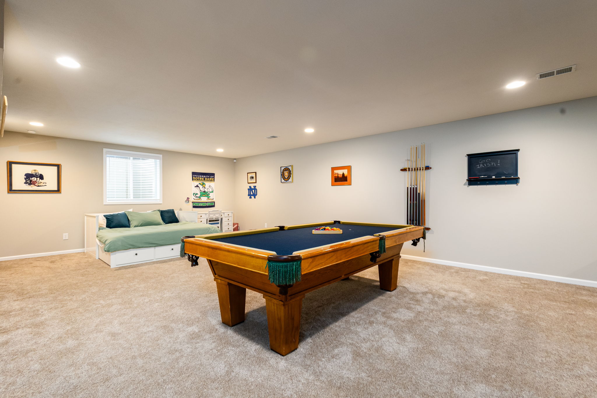 Basement Living Room