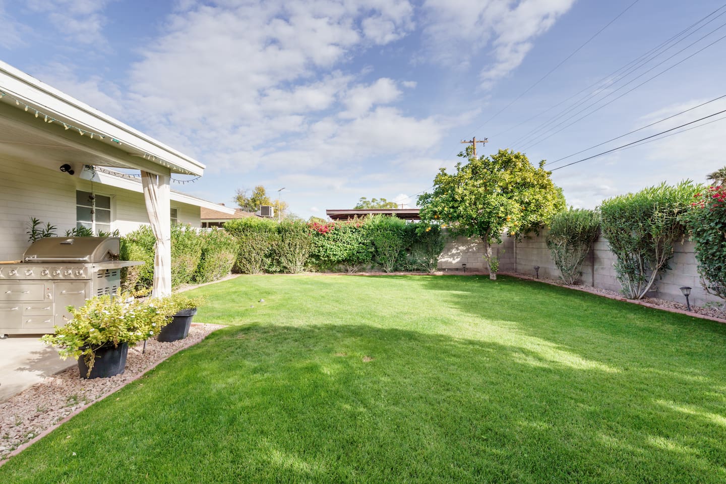 Backyard