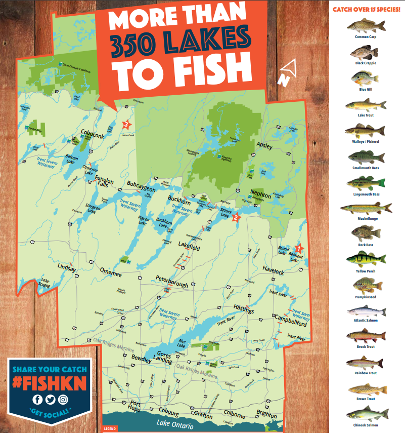 Kawartha lakes fishing