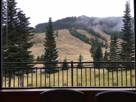 View from living room window.