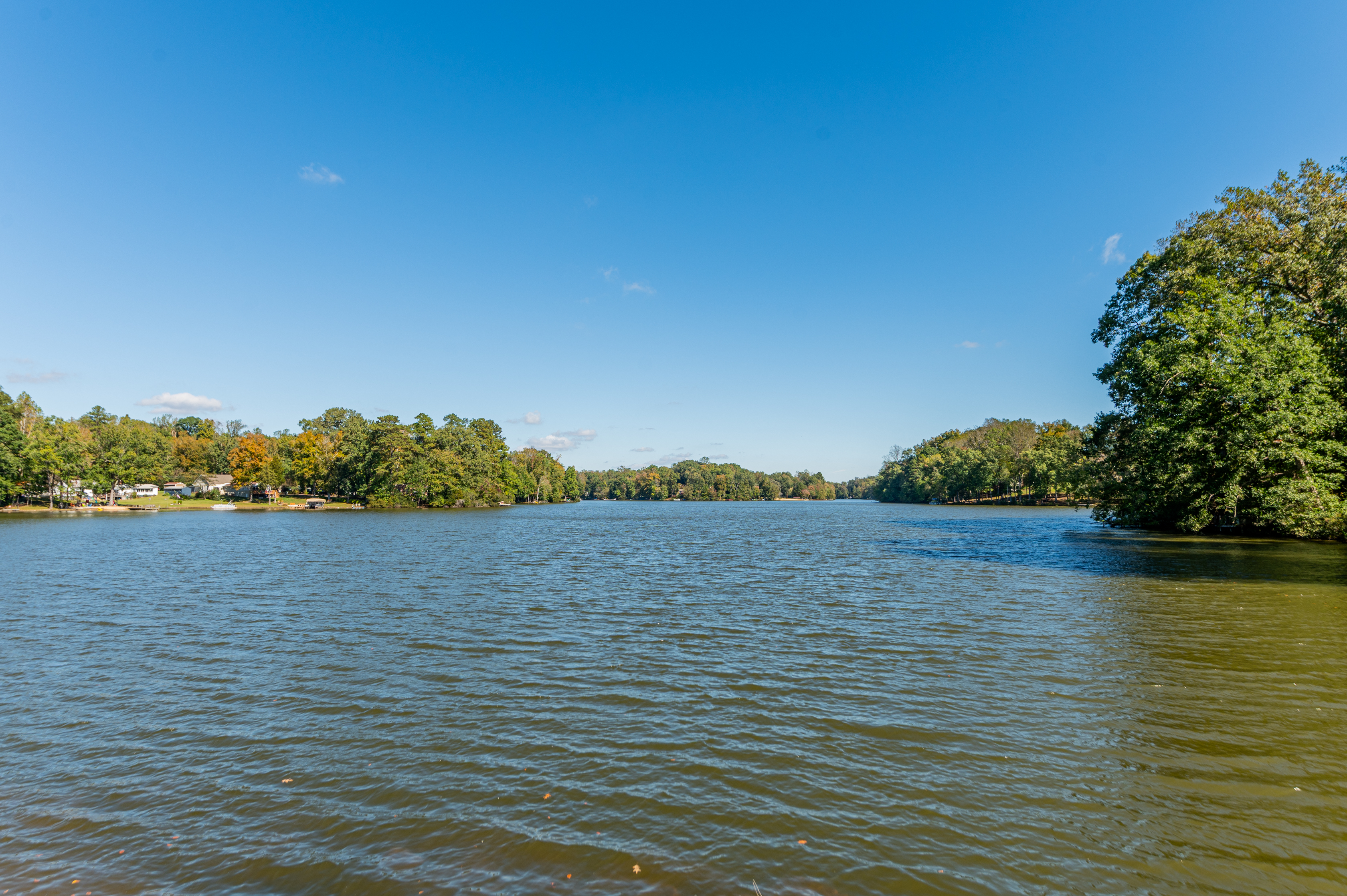 Lakeview: Bask in stunning waterside views and embrace nature's serenity!