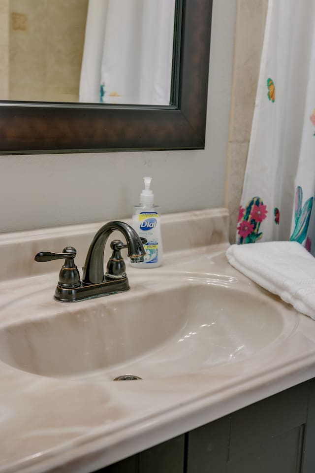 Updated Master Bathroom