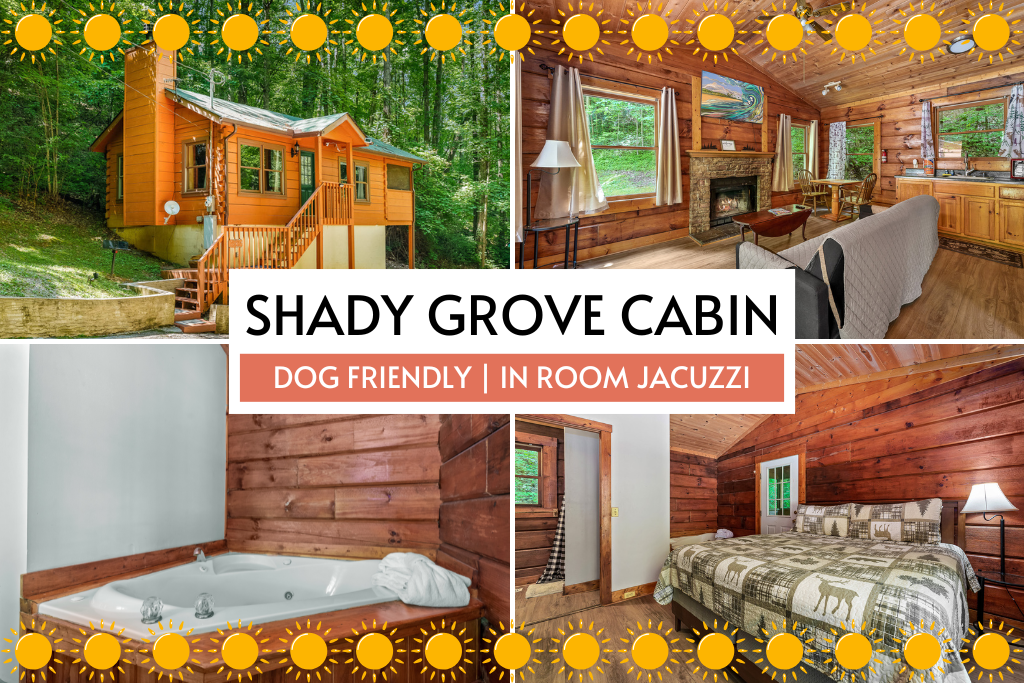 Stay at Shady Grove Cabin—dog-friendly with an in-room jacuzzi and rustic charm.