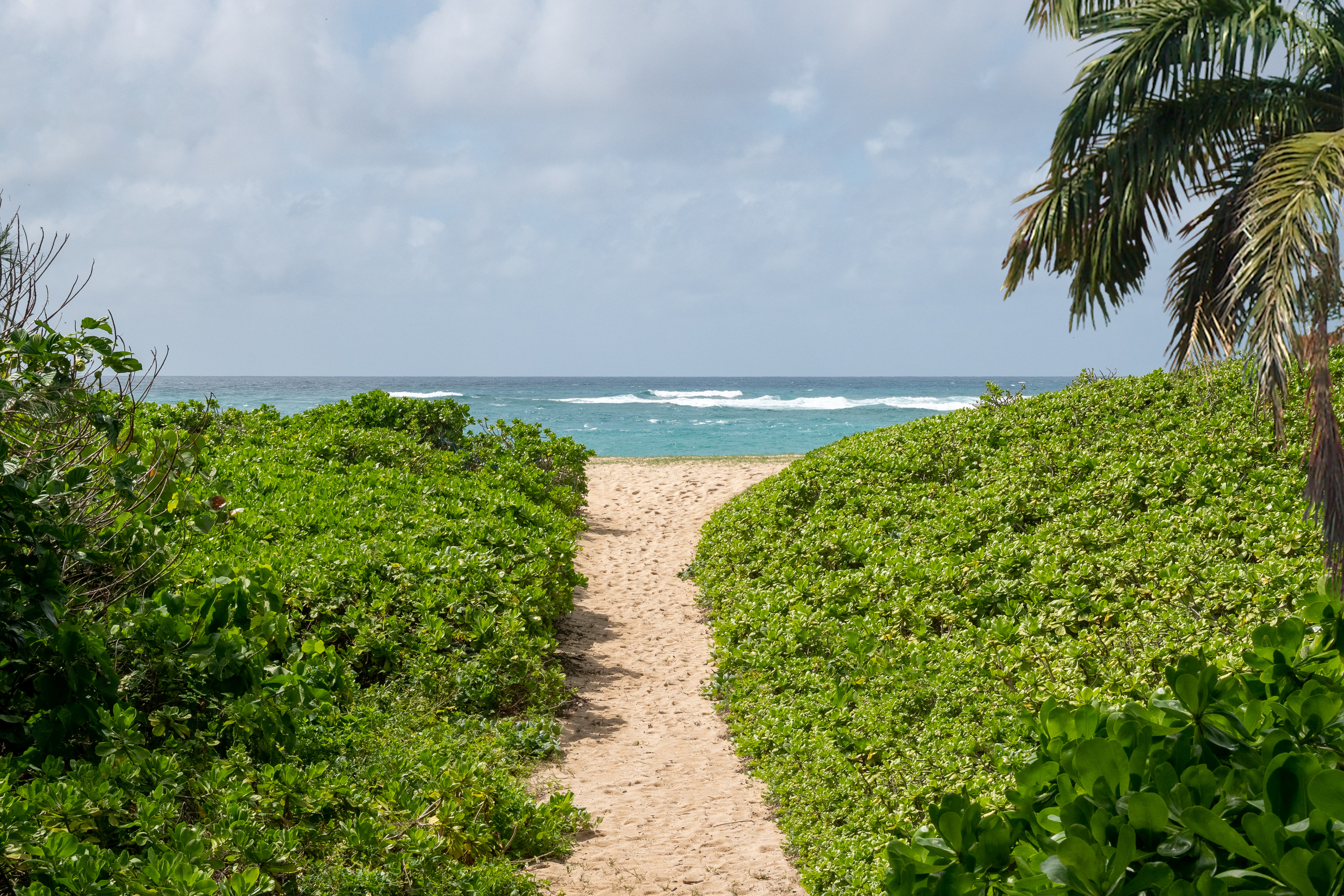 Secluded beach access ~5+ minute walk