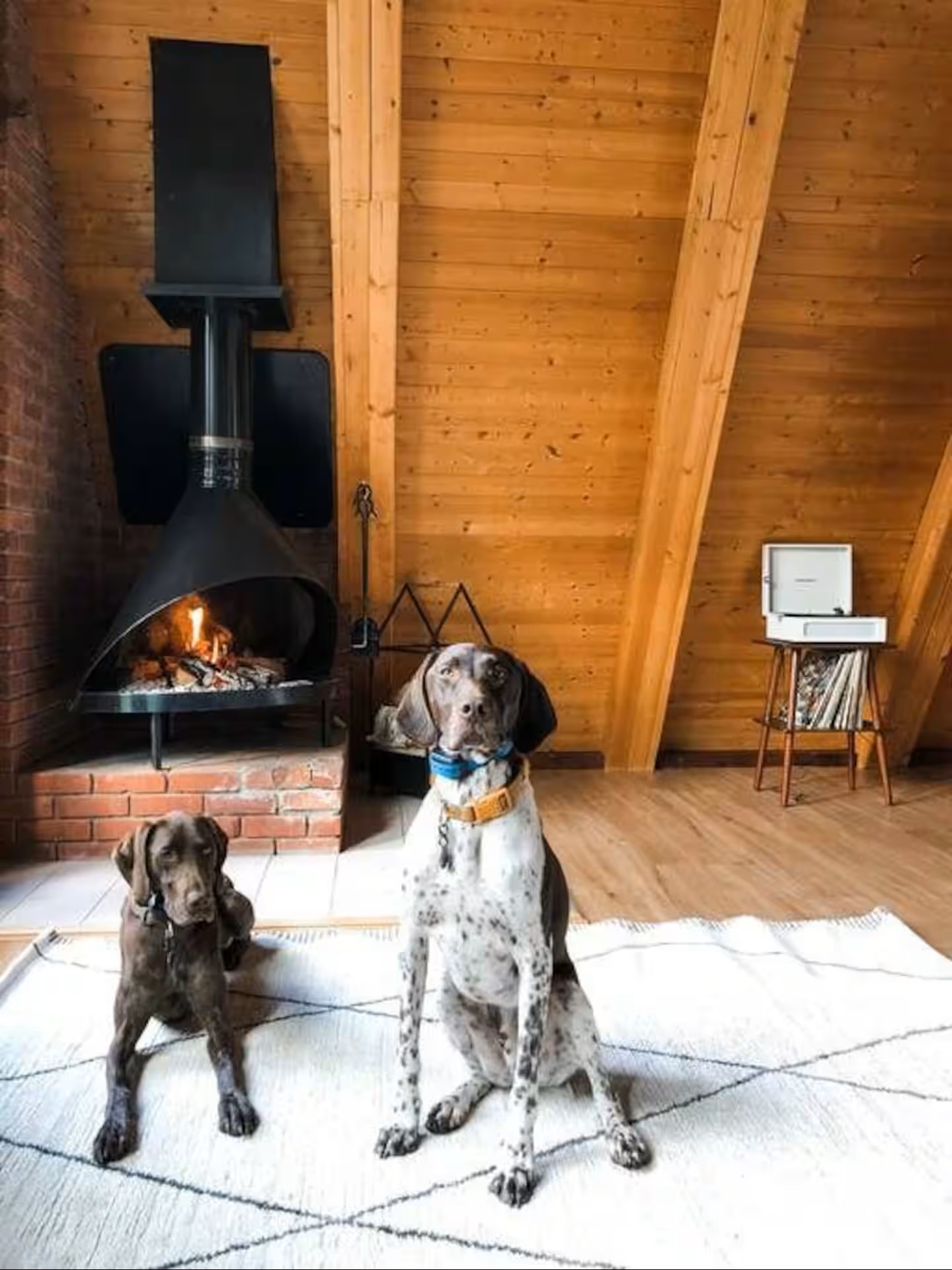 Did we mention we are dog-friendly? Bring your pup!