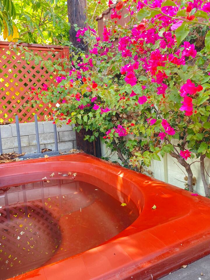 Colorful garden corner full of blooming bougainvillea.