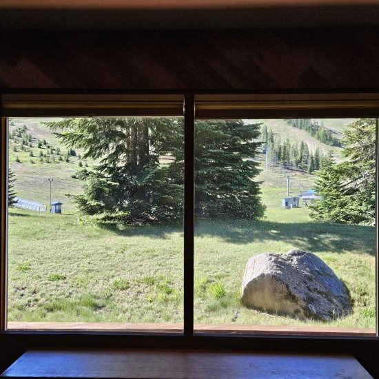 View from main unit window.