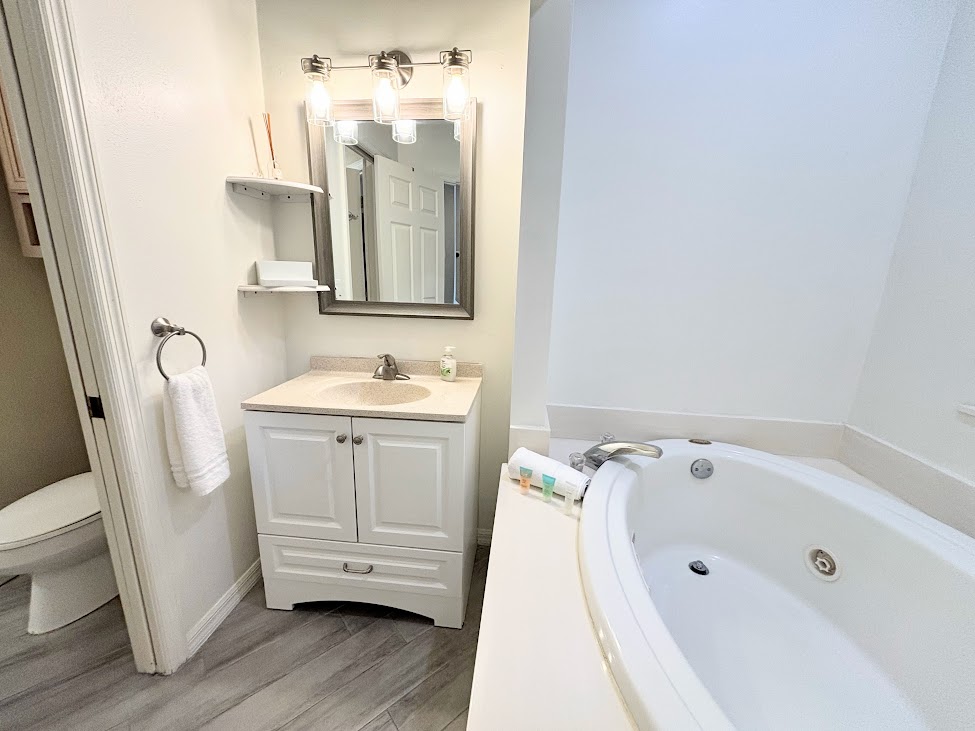 Bathroom featuring a vanity, mirror, soaking tub, and updated wood-look tile flooring.