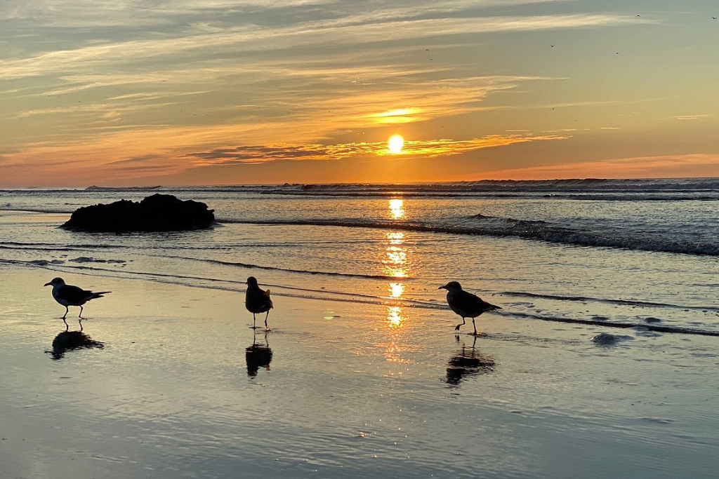 Peaceful beach sunset with gentle waves and open shoreline views. A calm moment by the water, ideal for evening walks, watching the sky change colors, and enjoying the natural rhythm of the coast at the end of the day.