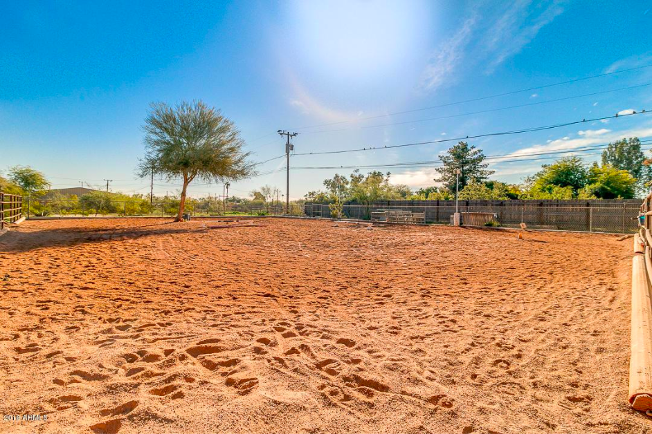 Arena for Horses