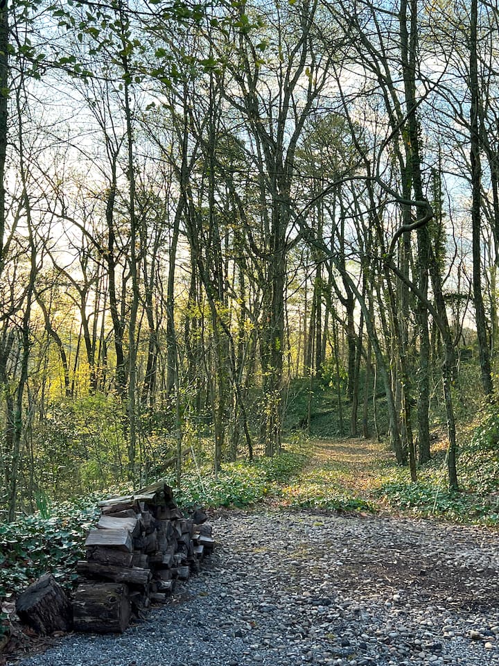 Beginning of 1 mile hiking trail that encircles the property.