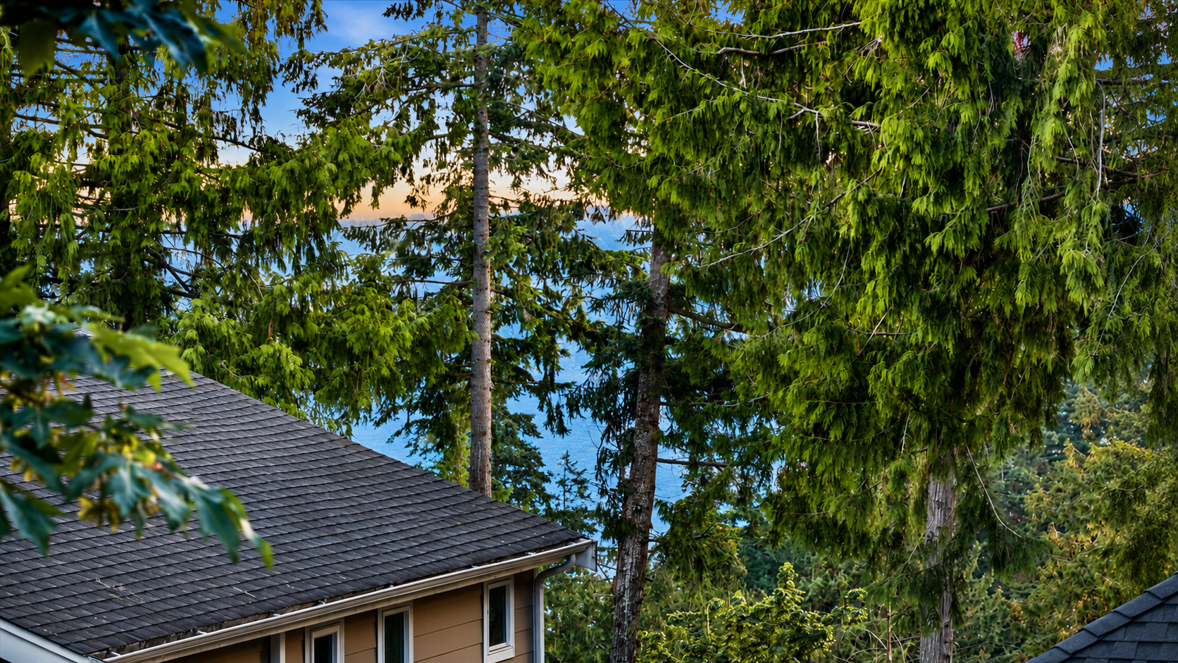 Peeka-boo Lake Sammamish View